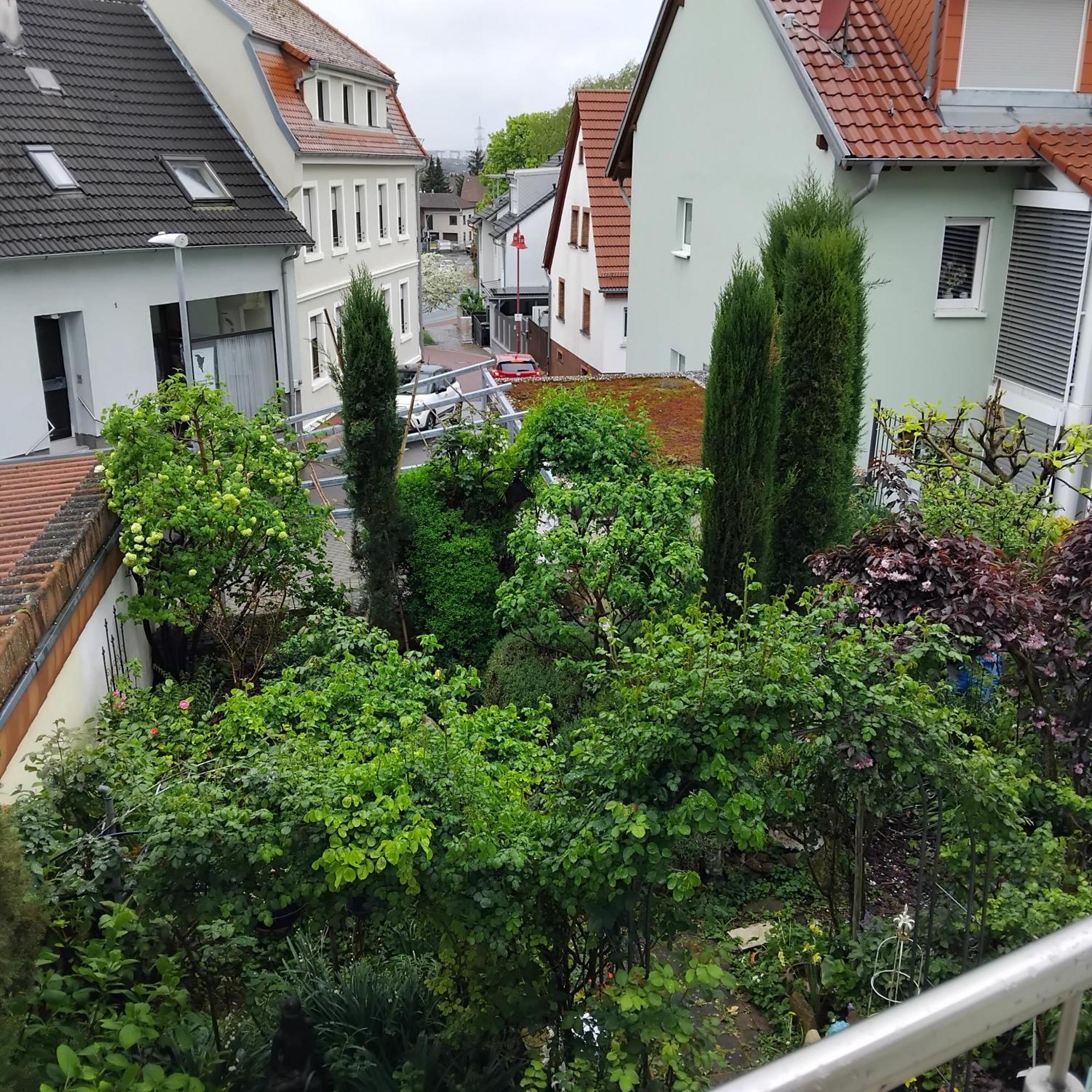 Residenz Am Berg Apartment ไลเมน ภายนอก รูปภาพ